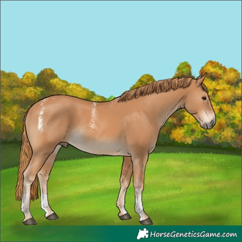Horse Color:Powder White Chestnut