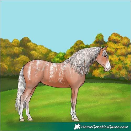 Horse Color:Powder White Silver Brown 