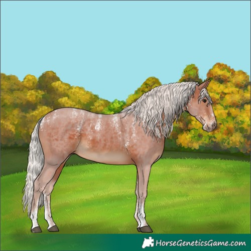 Horse Color:Powder White Silver Brown 