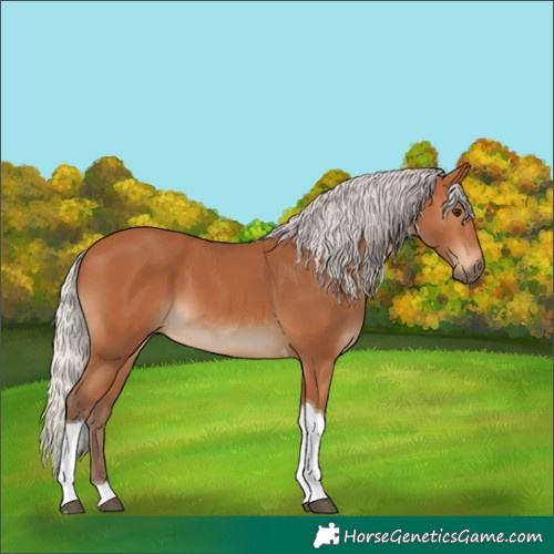 Horse Color:Silver Bay Tobiano 