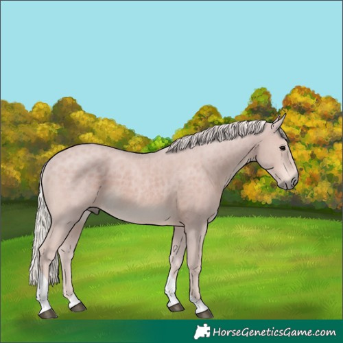 Horse Color:Silver Black Tobiano