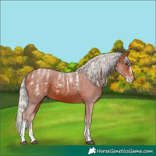 Horse Color:Powder White Silver Bay