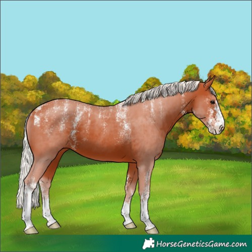 Horse Color:Powder White Silver Bay