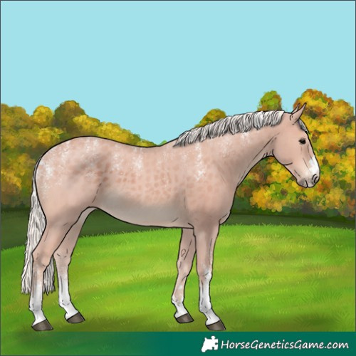 Horse Color:Powder White Silver Black