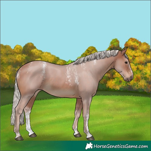 Horse Color:Powder White Silver Brown