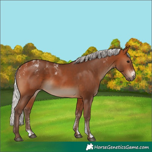 Horse Color:Powder White Silver Bay
