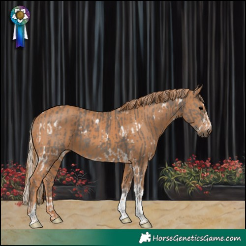 Horse Color:White Spotted Silver Black  and Chestnut Tobiano 
