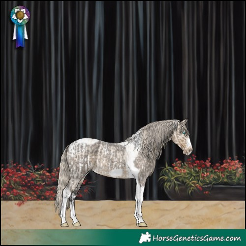 Horse Color:Smoky Creme Sabino Splash Tobiano Frame  and Silver Smoky Blue Roan Tobiano Frame 