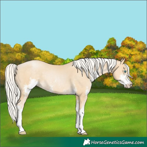 Horse Color:Silver Smoky Black Pearl Sabino 