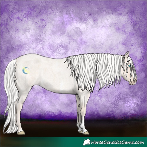 Horse Color:Smoky Creme Roan Sabino Splash  and Silver Smoky Creme Roan Sabino Splash 