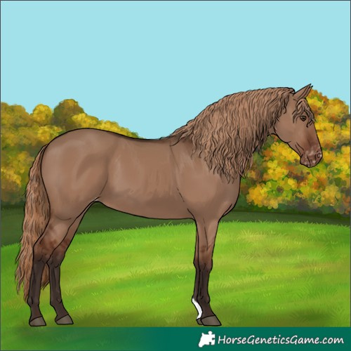 Horse Color:Liver Red Dun Varnish 