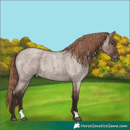 Horse Color:Liver Red Dun Roan Varnish 
