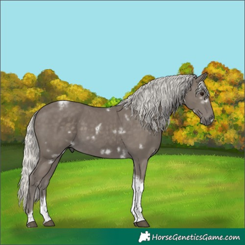 Horse Color:White Spotted Silver Smoky Black Tobiano Frame