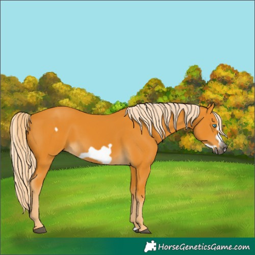 Horse Color:Gray Palomino Frame