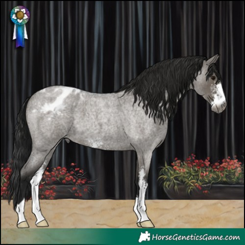 Horse Color:Gray Grullo Roan Sabino Varnish 