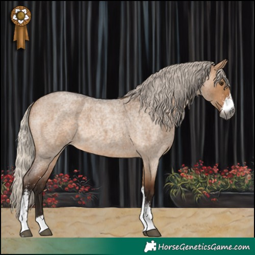 Horse Color:Gray Silver Bay Roan Dun Sabino