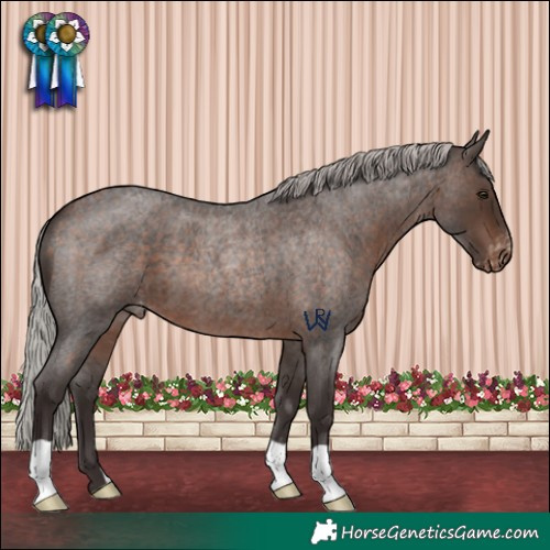 Horse Color:Silver Brown Roan Varnish