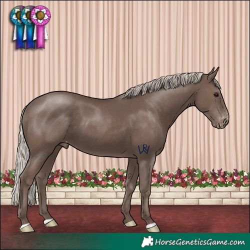 Horse Color:Silver Black Varnish 