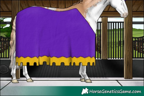 Horse Color:Chestnut Splash Skewed LP Spotted
