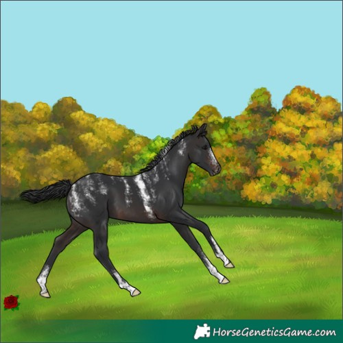 Horse Color:Powder White Brown