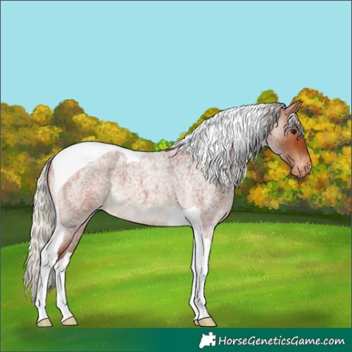 Horse Color:Silver Bay Roan Tobiano Varnish 