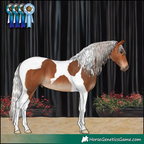 Horse Color:Silver Bay Tobiano