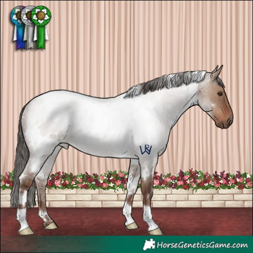 Horse Color:White Spotted Liver Red Dun Roan