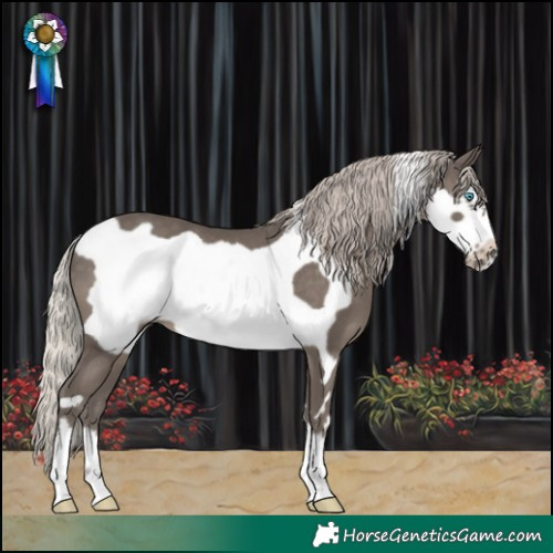 Horse Color:Silver Black Frame