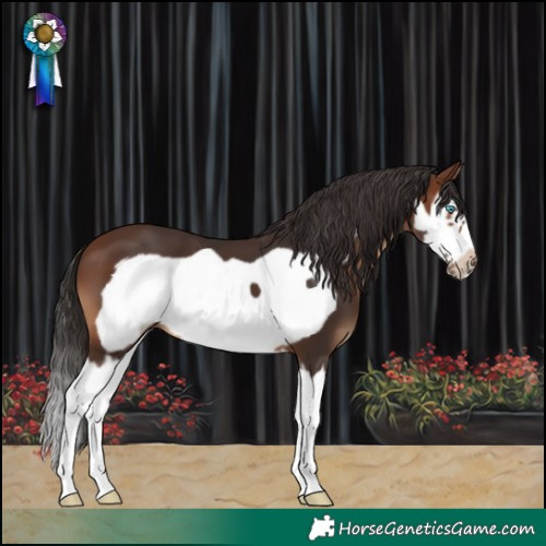 Horse Color:Brown Splash Frame 