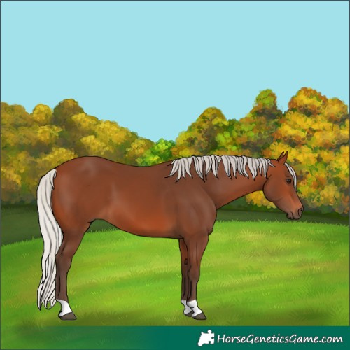 Horse Color:Silver Brown 