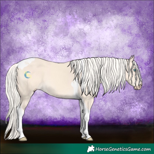 Horse Color:Cremello Tobiano