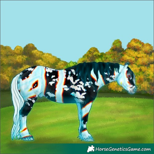Horse Color:Gray Thunderstruck Silver Smoky Grullo Ice Roan Onyx Splash Tobiano Frame Skewed LP Spotted Rabicano 
