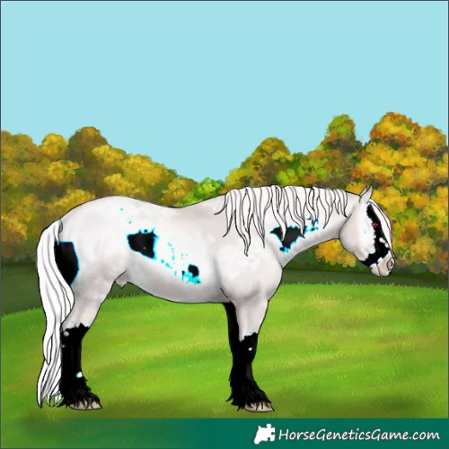 Horse Color:Platinum White Spotted Silver Smoky Blue Onyx Ice Splash Rabicano 