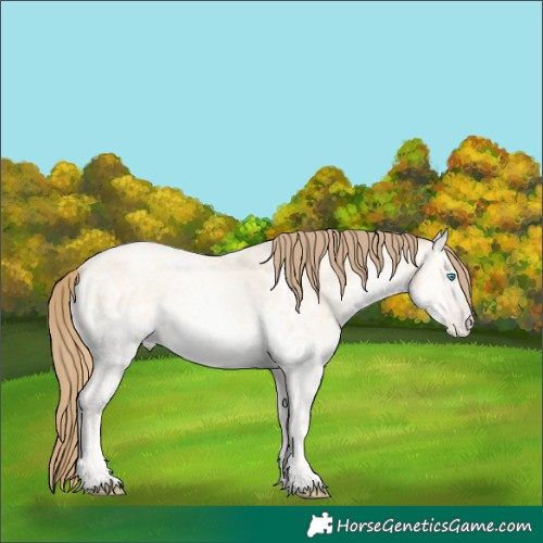 Horse Color:Classic Champagne Ice Roan Snowdrop Pearl Onyx Rabicano