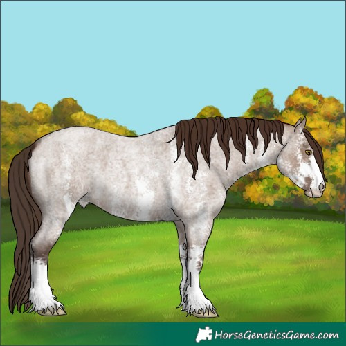 Horse Color:Liver Red Dun Roan Sabino