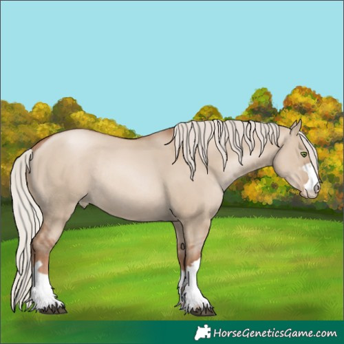 Horse Color:Silver Grullo Pearl Rabicano 