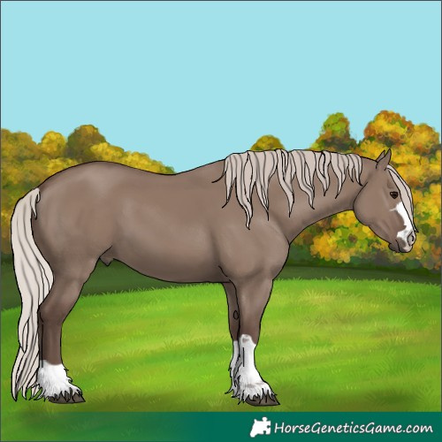 Horse Color:Silver Grullo Rabicano