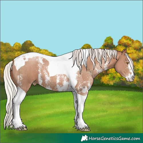 Horse Color:Silver Black Pearl Sabino Tobiano 