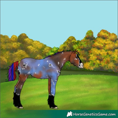 Horse Color:Painted White Spotted Bay Splash
