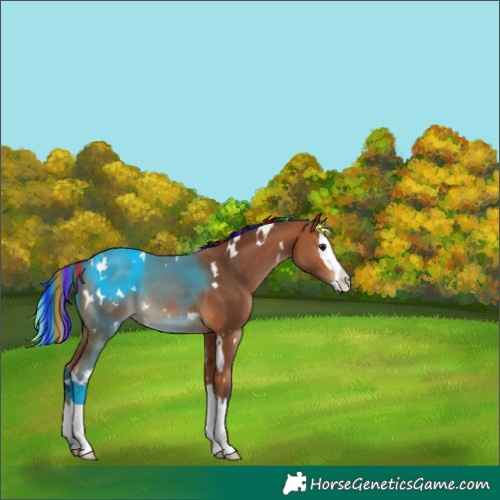 Horse Color:Painted White Spotted Bay Splash 