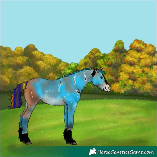 Horse Color:Painted White Spotted Bay Splash 