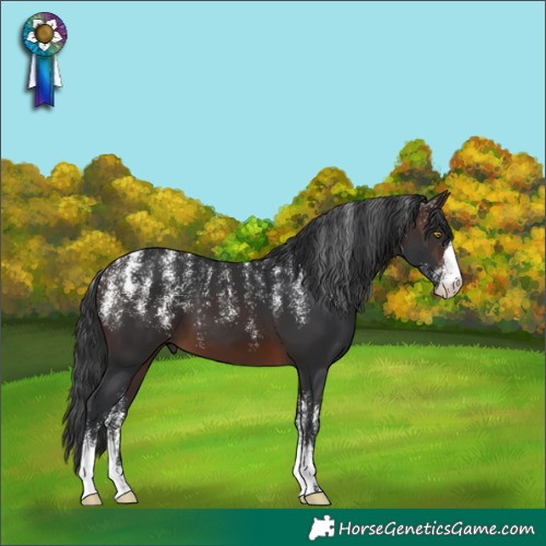 Horse Color:Powder White Brown