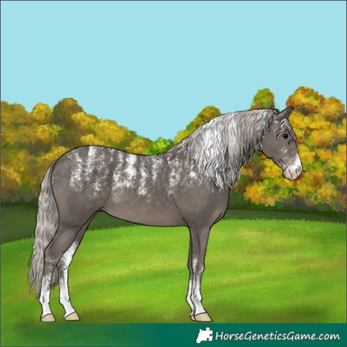 Horse Color:Powder White Silver Black 