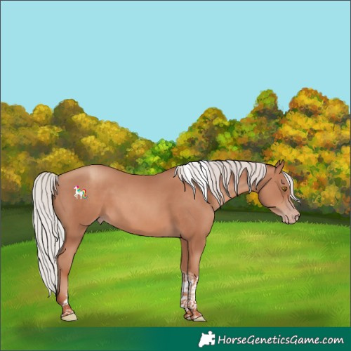 Horse Color:Silver Classic Champagne Tobiano