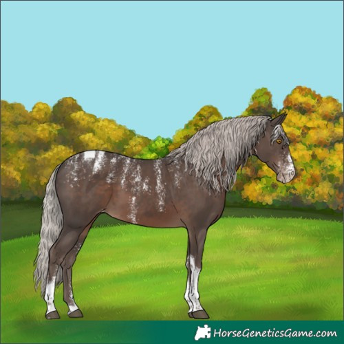 Horse Color:Powder White Silver Black Tobiano Varnish