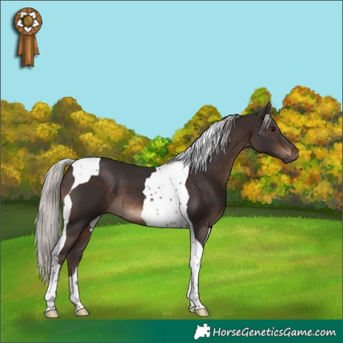 Horse Color:Silver Brown Tobiano