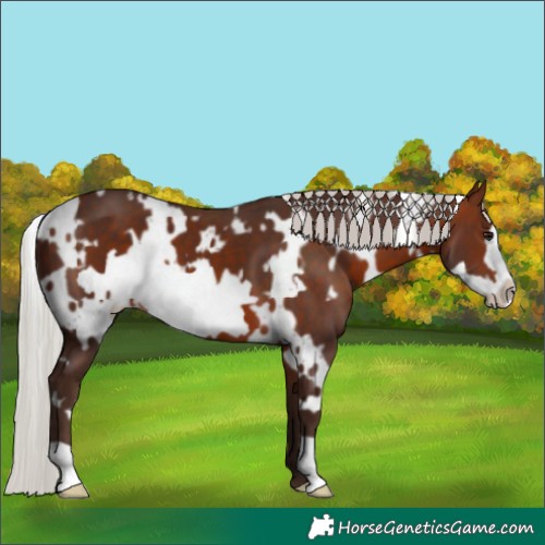 Horse Color:White Spotted Silver Brown Frame 