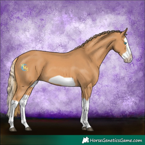 Horse Color:Chestnut Splash Frame 