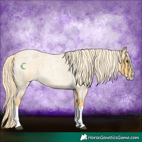 Horse Color:Palomino Roan Splash