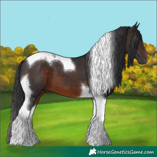 Horse Color:Brown Tobiano